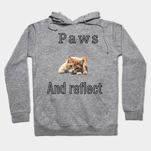 Paws and reflect Hoodie